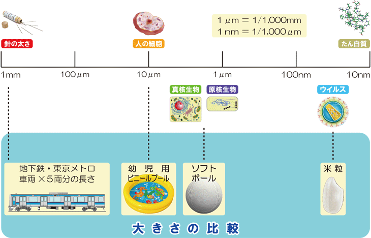 EBXۂ̑傫r
