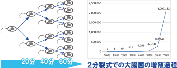 EBX͂Q􎮂ɑB܂